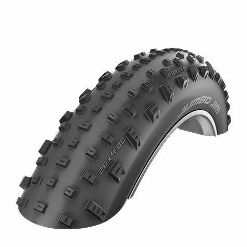 Покришка Schwalbe JUMBO JIM EVO 26x4.00 (100-559) HS466 LiteSkin Folding B/B-SK PSC 127EPI EK