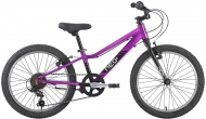 Велосипед 20" Apollo NEO 6s girls Chrome Purple