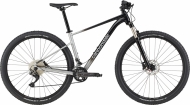 Велосипед 29" Cannondale Trail SL 4 (2021)
