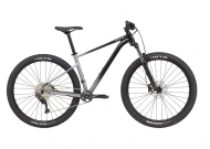 Гірський велосипед Cannondale Trail SE 4 grey 2023